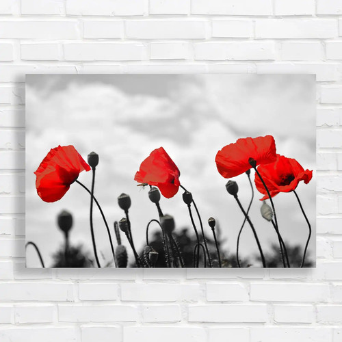 Red poppy floral moody - floral, sky
