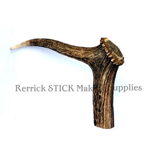 Stag horn coronet handle - coronet,