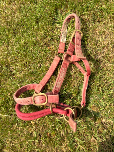 Monty roberts small dually - small,