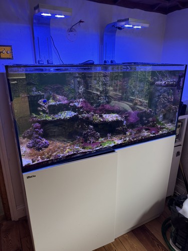 Red sea reefer - sea, 425xl