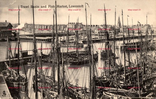 Trawl basin and fish market - fish,
