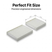 Premium Quality Pollen Filter