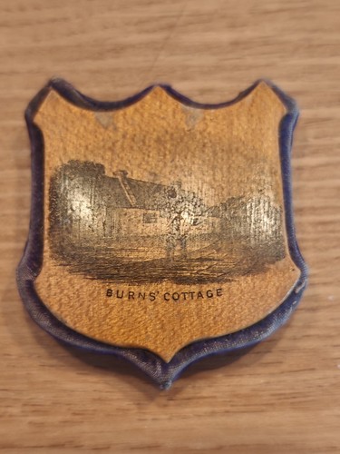 Mauchline transfer ware pin - ware,