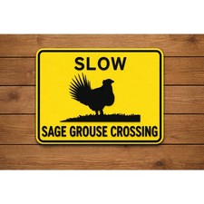 SLOW Sage Grouse Crossing Road