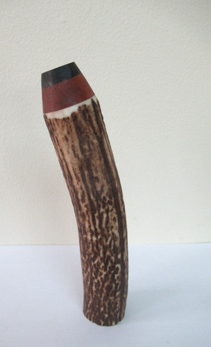 Red deer stag antler roll - deer, top