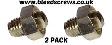 Radiator GENUINE BLEED SCREW