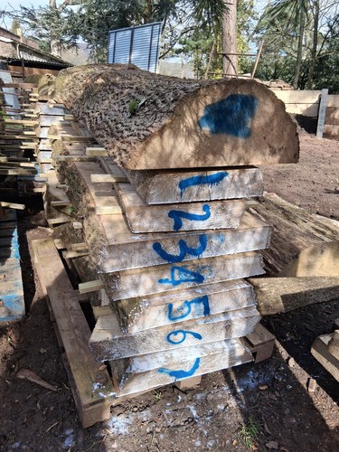 Live edge ash slabs - ash, 2.4m