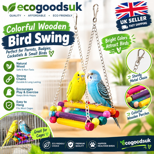 Pet bird parrot - bird,