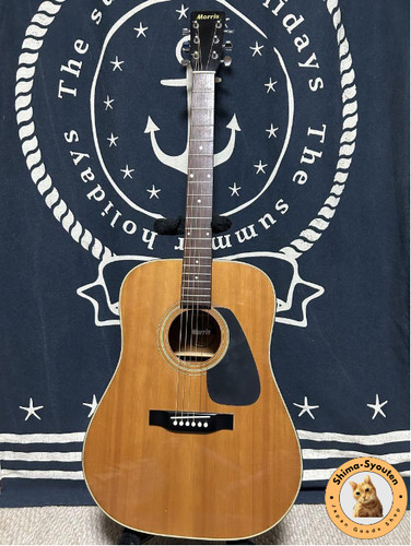 Morris acoustic guitar 501 - acoustic, md-501