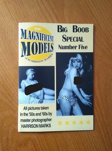 The magnificent models - magnificent,