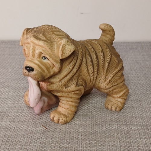 Puppy pals shar pei with - hj&g,