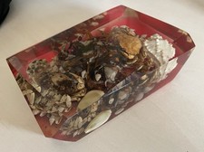 Paperweight 1960’s Resin