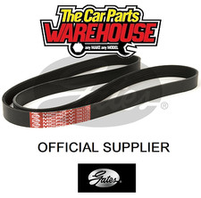 Genuine Gates Auxiliary Belt / Fan / Drive / Multi Rib 4PK823