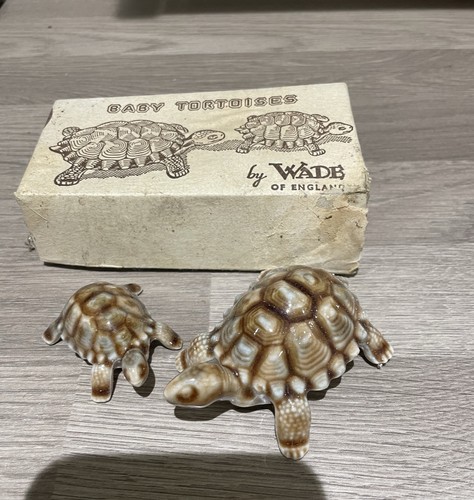 Wade baby tortoises - baby,