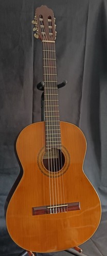Cuenca model classical - model, 30