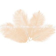 Cream Natural Genuine Ostrich