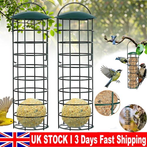 Large hanging garden - hanging, wild