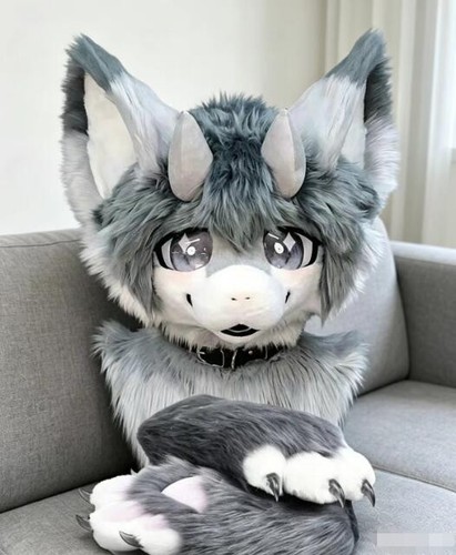 Fursuit long haired - fursuit, dog