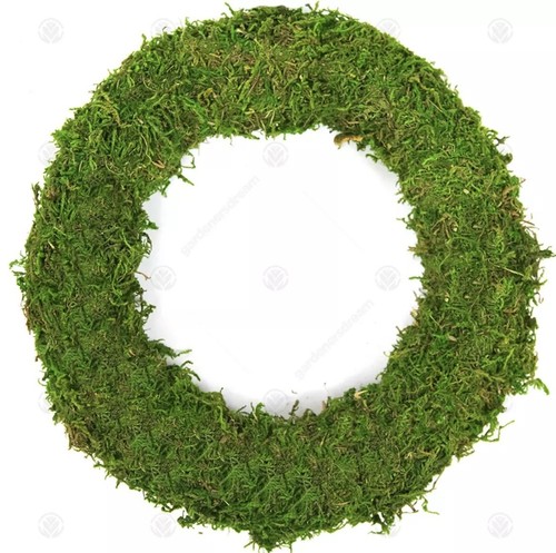 Padded moss effect wreath - 10",