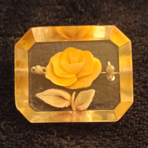 Yellow rose flower clear - yellow,