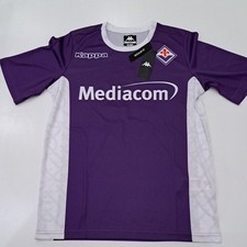 Fiorentina edin dzeko 10 - fiorentina,