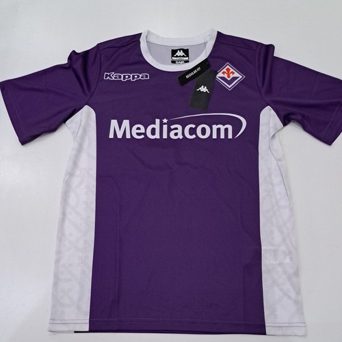 Fiorentina edin dzeko 10 - no,