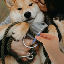 Pet Training Dog for Recall