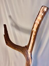 Driftwood floor lamp “The