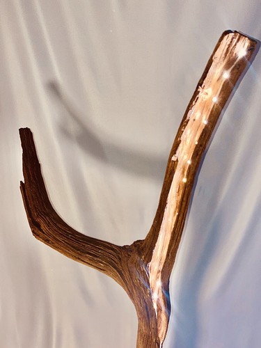 Driftwood floor lamp the - floor, “the