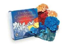 The Amazing Crystal Garden