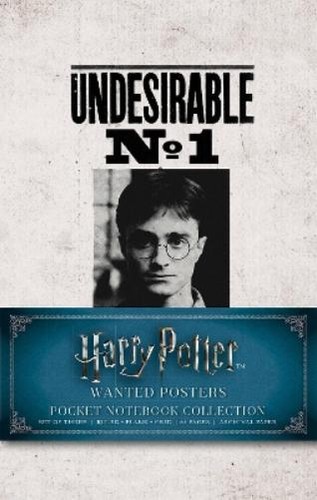 Harry potter wanted posters - harry, potter: