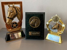Job Lot of 3 Horse Racing trophies/plaques, plastic, 2006-2015, preowned