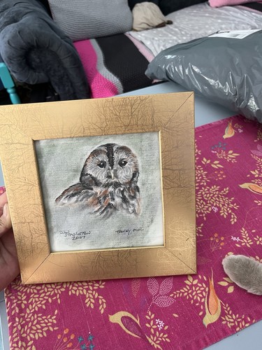 Tawny owl painting jan - owl,