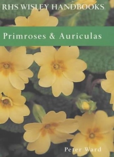 Primroses and auriculas - primroses,