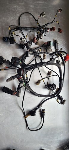 Suzuki gsxr600 motec - motec, wiring