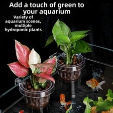 Clear Fish Tank Grass Cup Wall