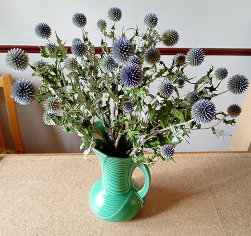 Dried globe thistle - dried,
