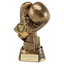 Apex Boxing Glove Trophy  -