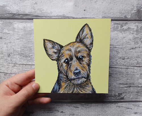 Australian terrier greetings - australian,