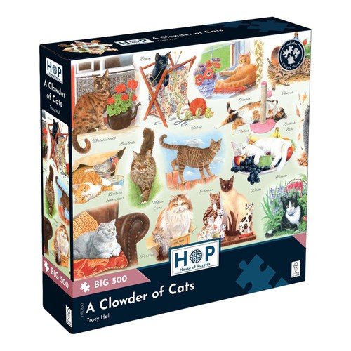 The house puzzles - house,