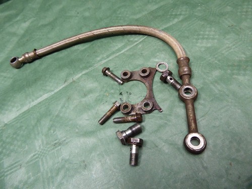 Vertemati 492 vor 503 - vor,