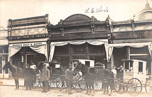 Chillicothe illinois horse - chillicothe,