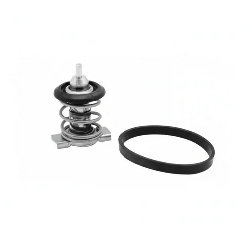 Thermostat without housing