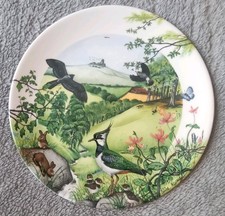 Wedgwood Decorative Wall Plate