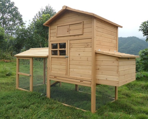 Large 8ft chicken coop - chicken,