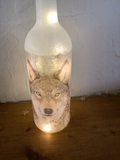 LED Light up bottle lamp