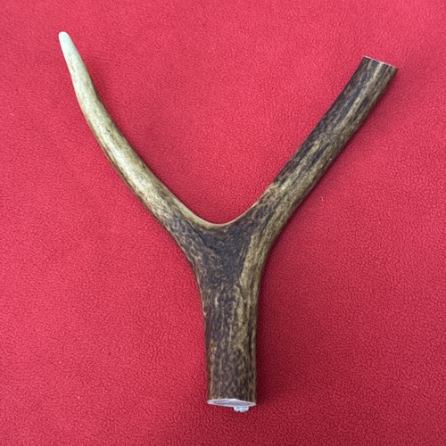 One piece deer - of,