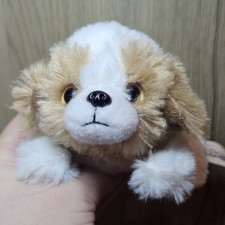 Russ Petooties Pets Shih Tzu