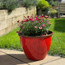 30cm Red Glaze Planter