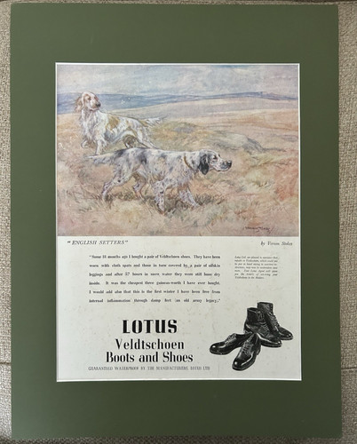 Antique dog print c1950 - antique,